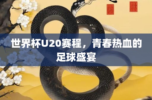 世界杯U20赛程，青春热血的足球盛宴