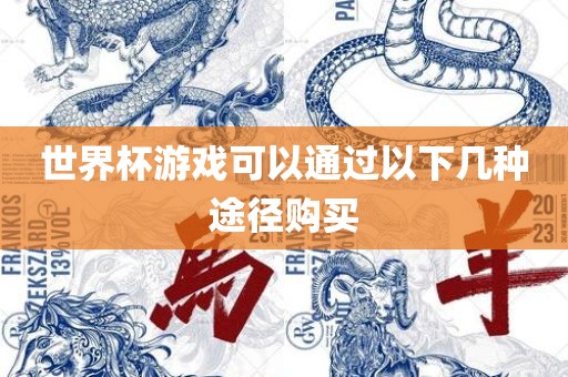 世界杯游戏可以通过吉安市靖泰电力工程有限公司以下几种途径购买