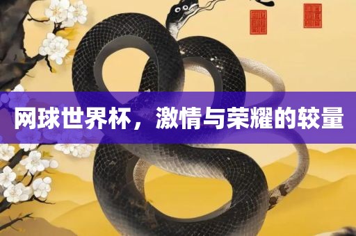 网球世界杯，激情与荣耀的较量吉安市靖泰电力工程有限公司