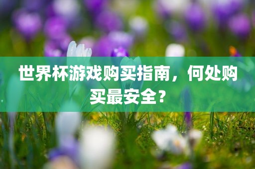世界杯游戏购买指南，何处购买最安全？