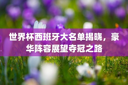 世界杯西班牙大名单揭晓，豪华阵容展望夺冠之路