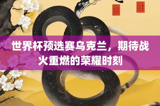 世界杯预选赛 第3页