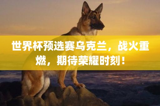 世界杯预选赛乌克兰，战火重燃，期待荣耀时刻！