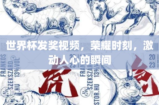 世界杯发奖视频，荣耀时刻，激动人心的瞬间吉安市靖泰电力工程有限公司