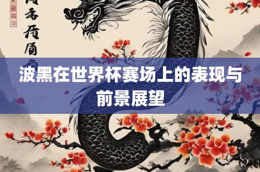 波黑在世界杯赛场上的表现与前景展望