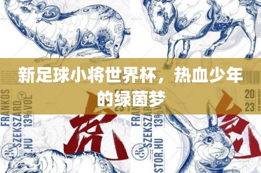 新足球小将世界杯，热血少年的绿茵梦