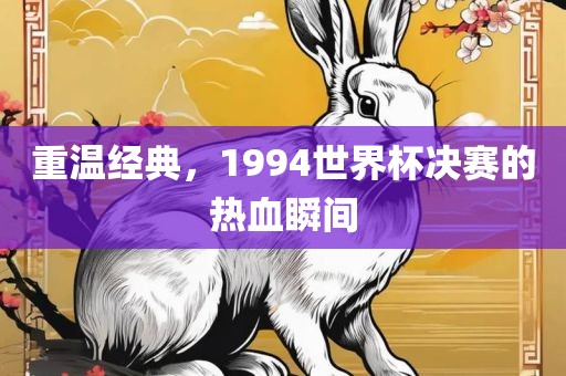 重温经典，1994世界杯决赛吉安市靖泰电力工程有限公司的热血瞬间