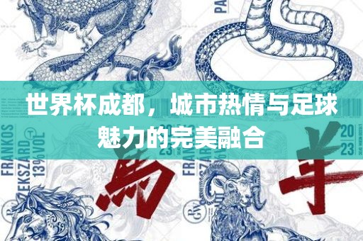 世界杯成都，城市热情与足球魅力的完美融合