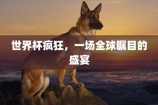 世界杯疯狂，一场全球瞩目的盛宴
