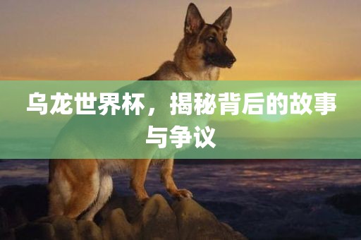 乌龙世界杯，揭秘背后的故事与争议吉安市靖泰电力工程有限公司