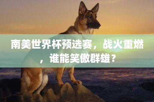 南美世界杯预选赛，战火重燃，谁能笑傲群雄？