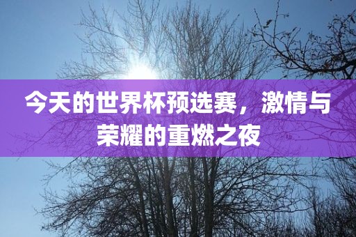 今天的世界杯预选赛，激情与荣耀的重燃吉安市靖泰电力工程有限公司之夜