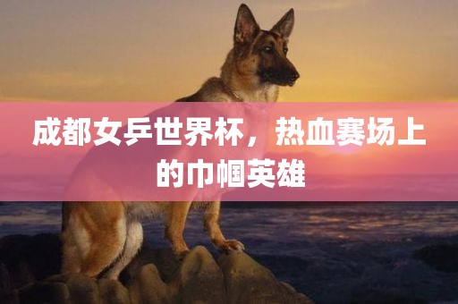 成都女乒世界杯，热血赛场上的巾帼英雄