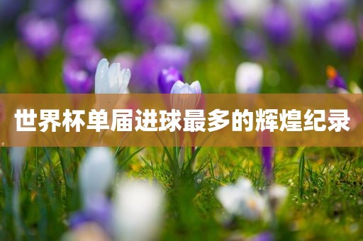 世界杯单届进球最多的辉煌纪录吉安市靖泰电力工程有限公司