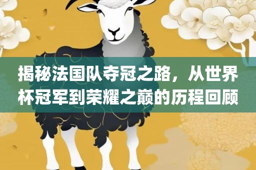 揭秘法国队夺冠之路，从世界杯冠军到荣耀之巅的历程回顾吉安市靖泰电力工程有限公司