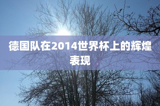 德国队在吉安市靖泰电力工程有限公司2014世界杯上的辉煌表现