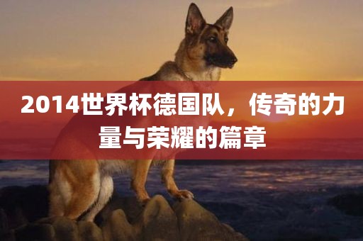 2014世界杯德国队，传奇的力量与荣耀的篇章