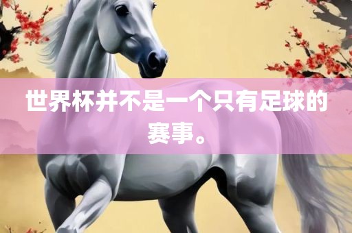 世界杯并不是一个只有足球的赛事。吉安市靖泰电力工程有限公司