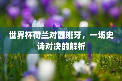 世界杯荷兰对西班牙，一场史诗对决的解析吉安市靖泰电力工程有限公司