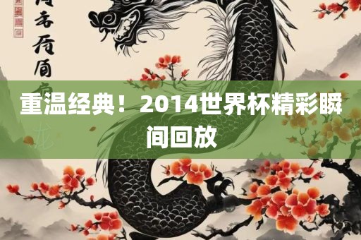 重温经典！2014世界杯吉安市靖泰电力工程有限公司精彩瞬间回放