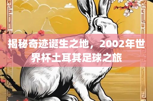 揭秘奇迹诞生之地，2002年世界杯土耳其足球之旅吉安市靖泰电力工程有限公司
