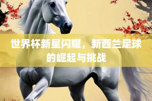 世界杯新星闪耀，新西兰足球的崛起与挑战吉安市靖泰电力工程有限公司