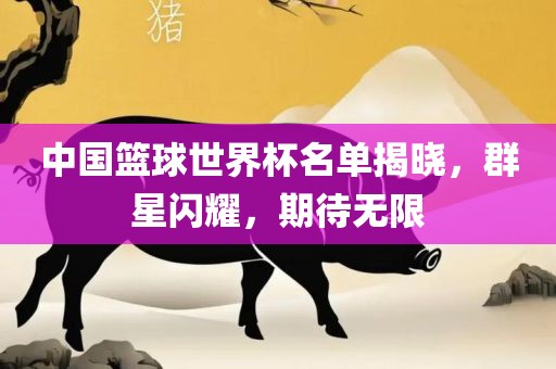 中国篮球世界杯名单揭晓，群星闪耀，期待无限