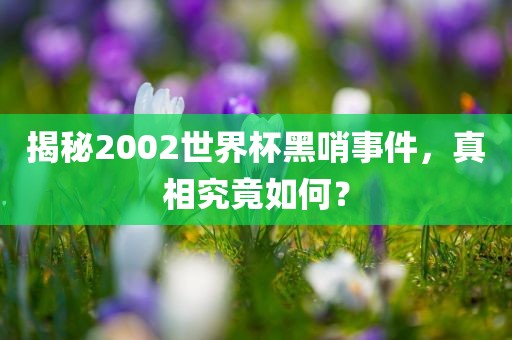 揭秘2002世界杯黑哨事件，真相究竟如何？