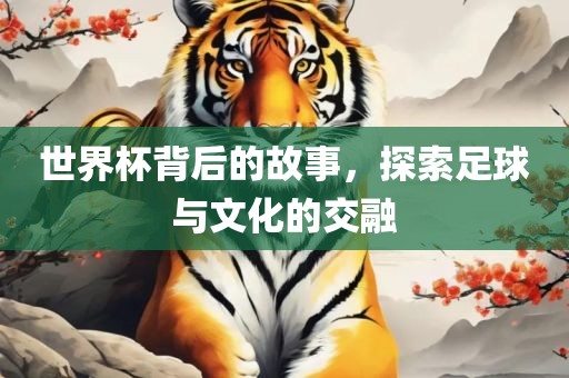 世界杯背后的故事，探索足球与文化的交融