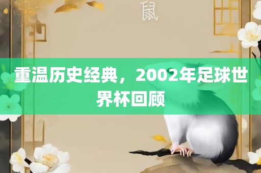 重温历史经典，2002年足球世界杯回顾