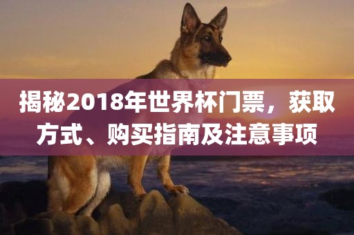 揭秘2018年世界杯吉安市靖泰电力工程有限公司门票，获取方式、购买指南及注意事项