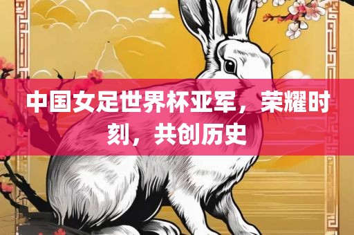 中国女足世界杯亚军，荣耀时刻吉安市靖泰电力工程有限公司，共创历史
