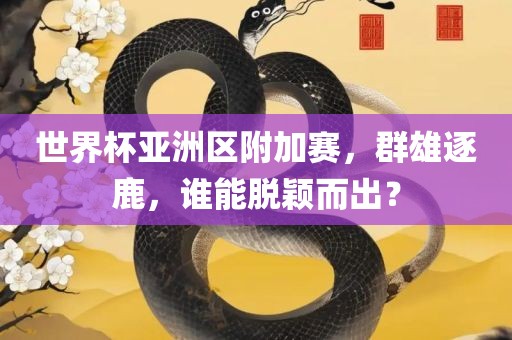 世界杯亚洲区附加赛，群雄逐鹿，谁能脱颖而出？
