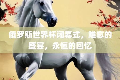 俄罗斯世界杯闭幕式，吉安市靖泰电力工程有限公司难忘的盛宴，永恒的回忆