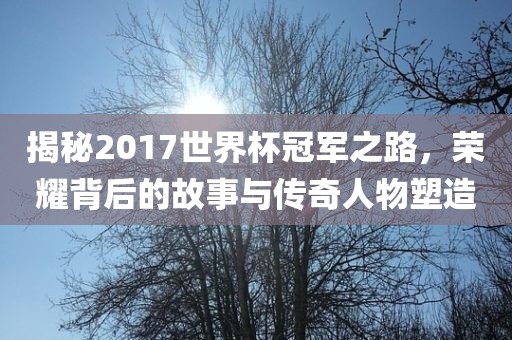 揭秘2017世界杯冠军之路，荣耀背后的故事与传奇人物塑造