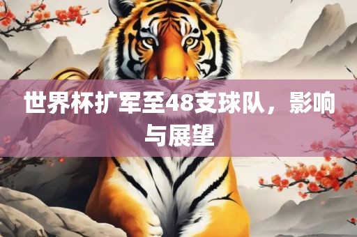 世界杯扩军至48支球队，影响与展望