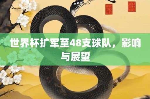 世界杯扩军至48支球队，影响与展望
