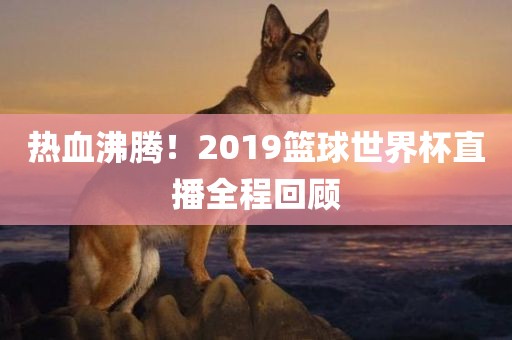 热血沸腾！2019篮球世界杯直播全程回顾