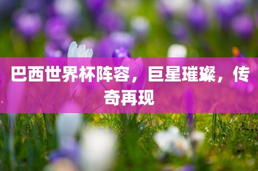 巴西世界杯阵容，巨星璀璨，传奇再现