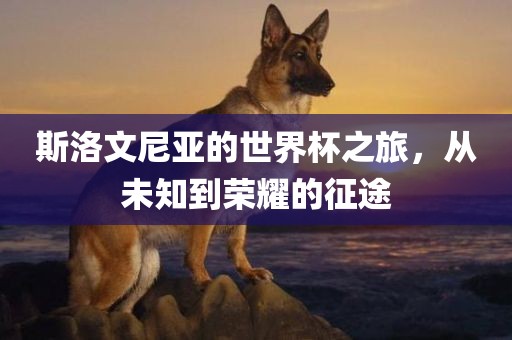 斯洛文尼亚的吉安市靖泰电力工程有限公司世界杯之旅，从未知到荣耀的征途