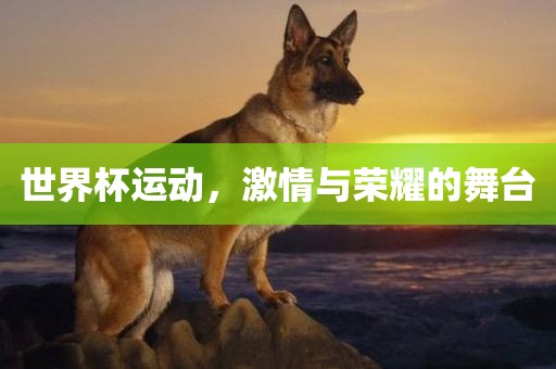 世界杯运动，激情与荣耀的舞台吉安市靖泰电力工程有限公司