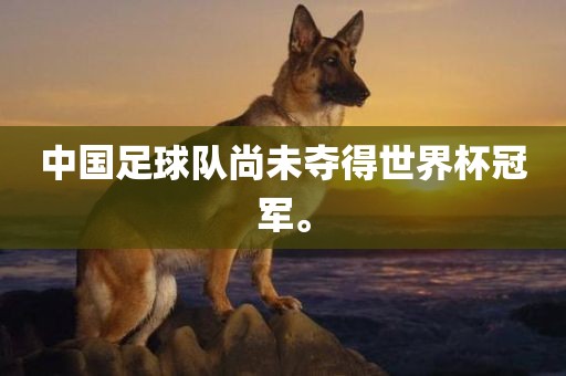 中国足球队尚未夺得世界杯冠军。
