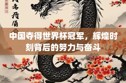 中国夺得世界杯冠军，辉煌时刻背后的努力与奋斗吉安市靖泰电力工程有限公司