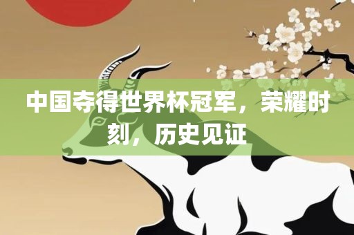 中国夺得世界杯冠军，荣耀时刻，历史见证