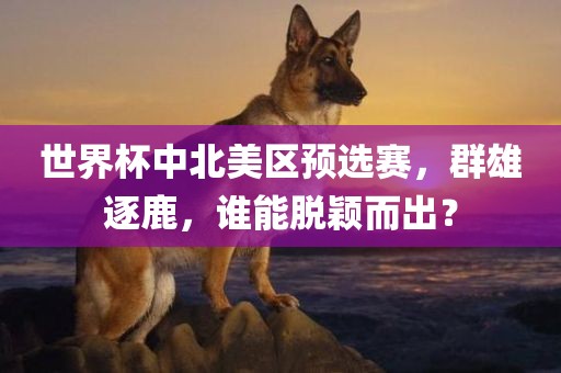 世界杯中北美区预选赛，群雄逐鹿，谁能脱颖而出？吉安市靖泰电力工程有限公司