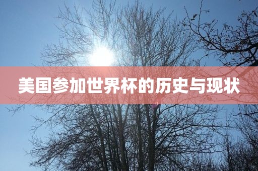 美国参加世界杯的历史与现状吉安市靖泰电力工程有限公司