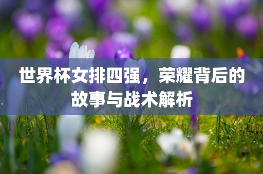 世界杯女排四强，荣耀背后的故事与战术解析吉安市靖泰电力工程有限公司