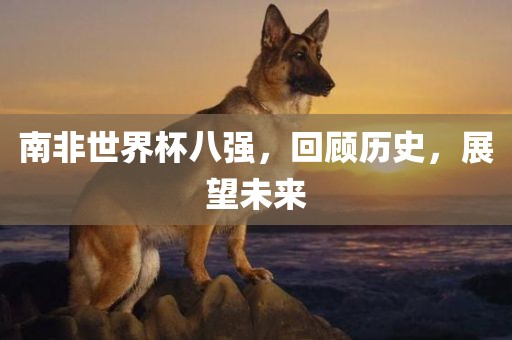 南非世界杯八强，回顾历史，展望未来