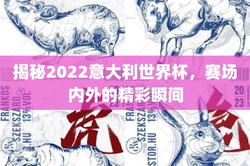 揭秘2022意大利世界杯，赛场内外的精彩瞬间