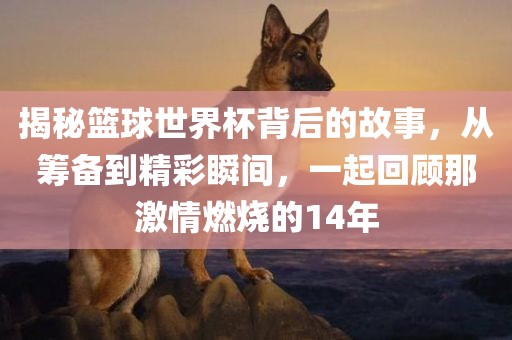 揭秘篮球世界杯背后的故事，从筹备到精彩瞬间，一起回顾那激情燃烧的14年吉安市靖泰电力工程有限公司